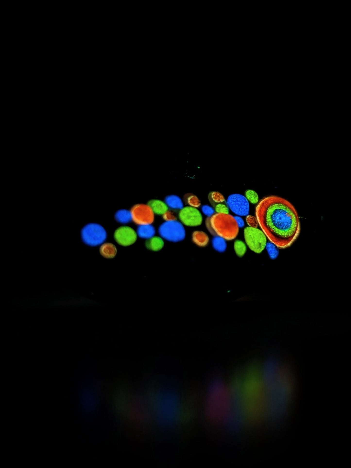 "Wonder-full" - 2.5oz Proto-H Jig